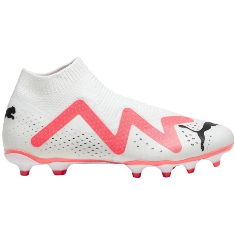 Puma Future Match+ LL FG/AG ghete fotbal 107366 01 demo