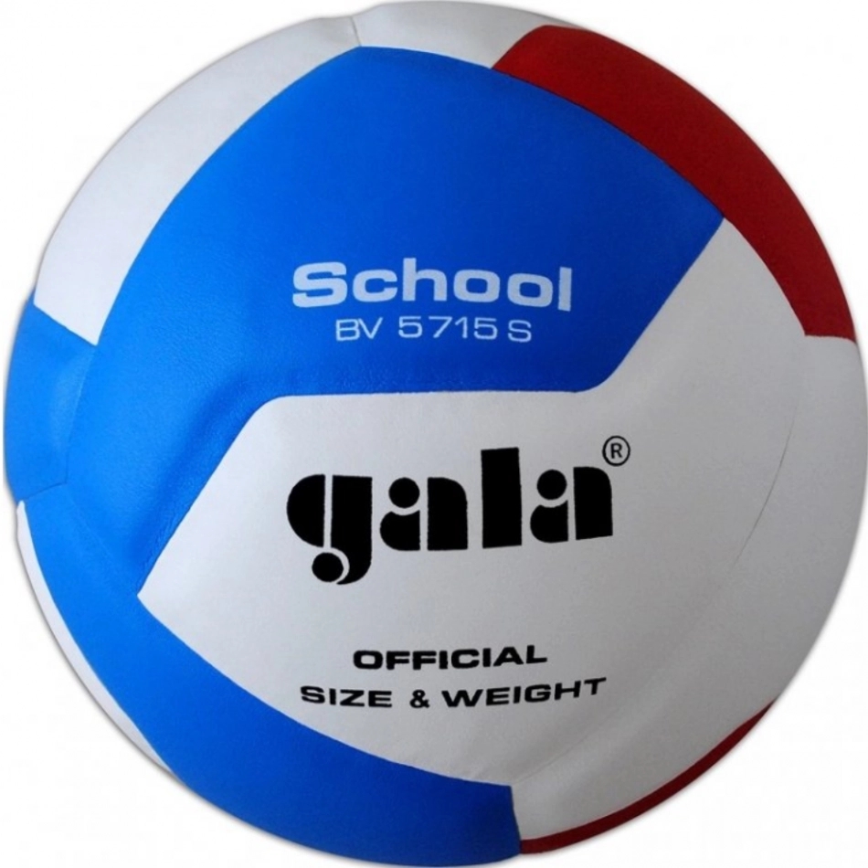 Gala School 12 minge volei BV5715S demo